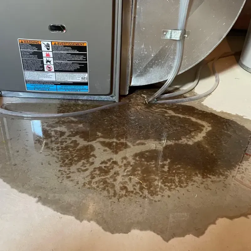 Appliance Leak Cleanup in Prairie Grove, IL